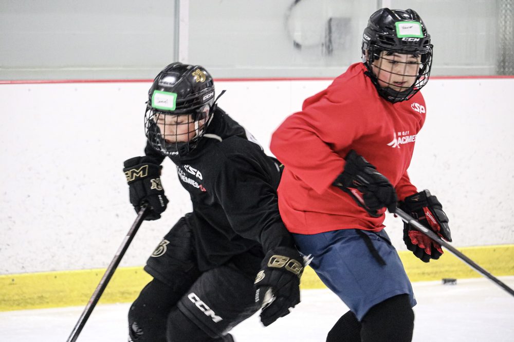 Deux joueurs à la lutte pour la rondelle